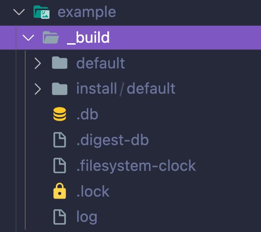 dune will compile the project and generate some files inside the _build folder